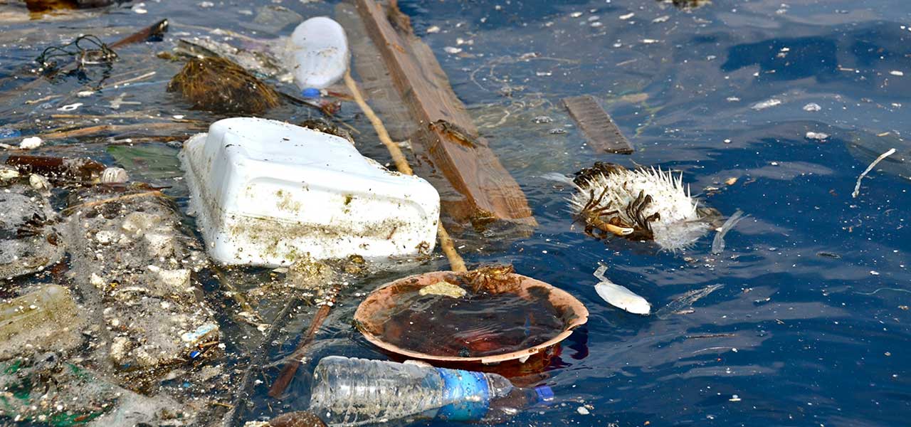 Plastik Im Meer Was Kann Ich Dafur Grunde Fakten Losungen