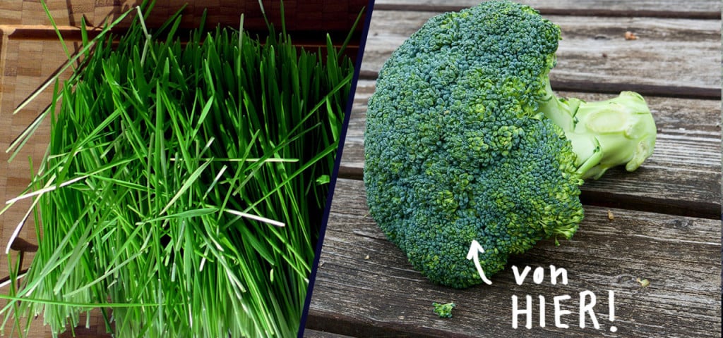 Regionale Alternativen zu Superfoods