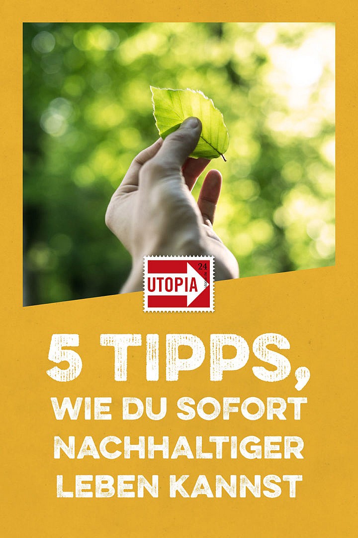 5 Tipps, Wie Du Sofort Nachhaltiger Leben Kannst - Utopia.de