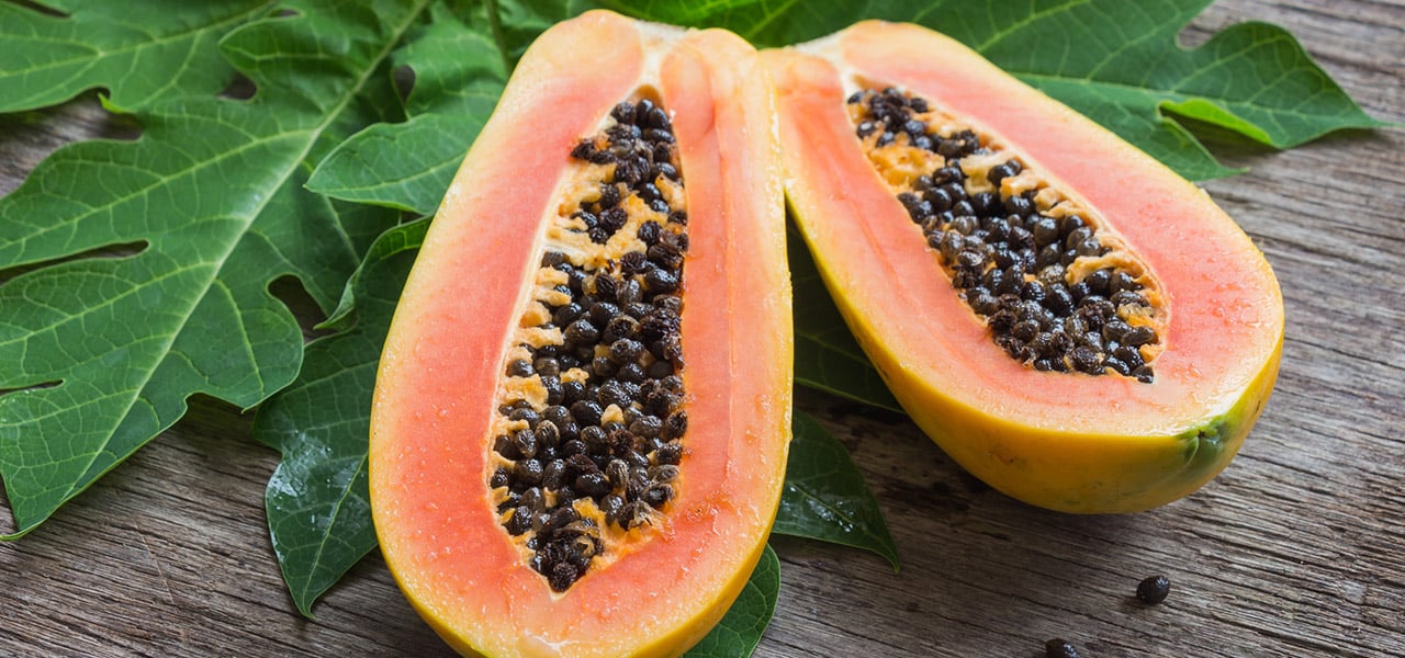 Papaya Die Frucht Mit Durchschlagender Heilwirkung