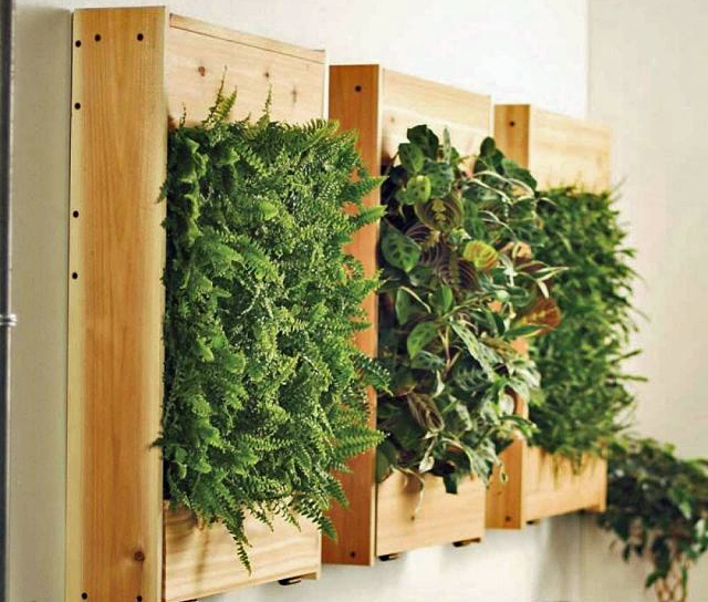 Sehr coole Deko-Ideen mit Zimmerpflanzen :) 