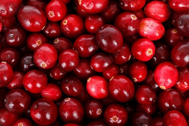 Dank Nährstoffgehalt auf der Superfood-Liste, wegen Nachhaltigkeit aber eher auszulisten: Cranberry