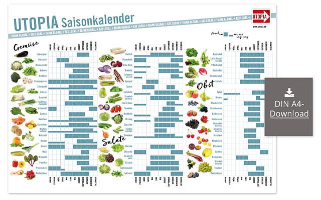 Saisonkalender: Wann wächst welches Obst und Gemüse?