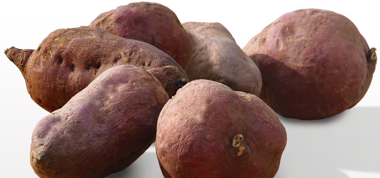 Eigenschaften von Süßkartoffeln zum Abnehmen Eigenschaften von Süßkartoffeln zum Abnehmen