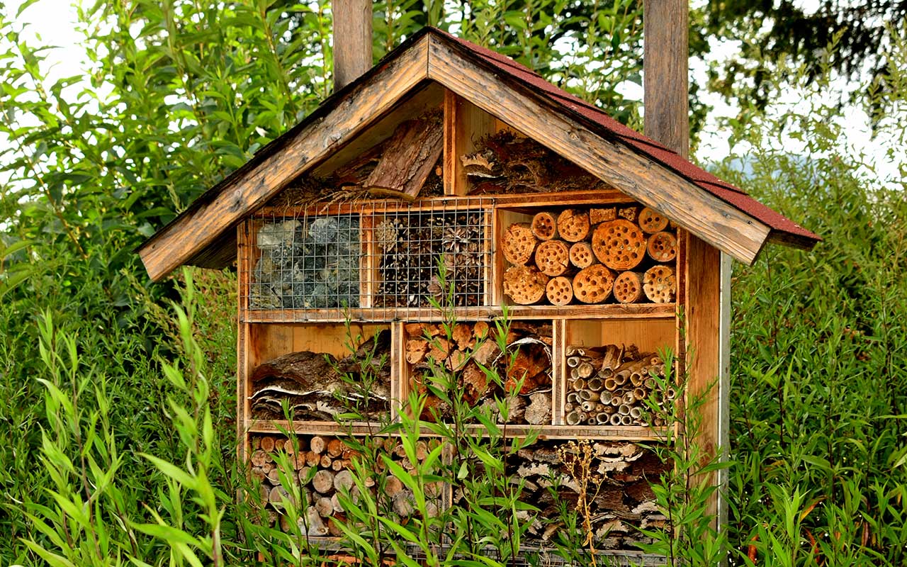 Insektenhotel