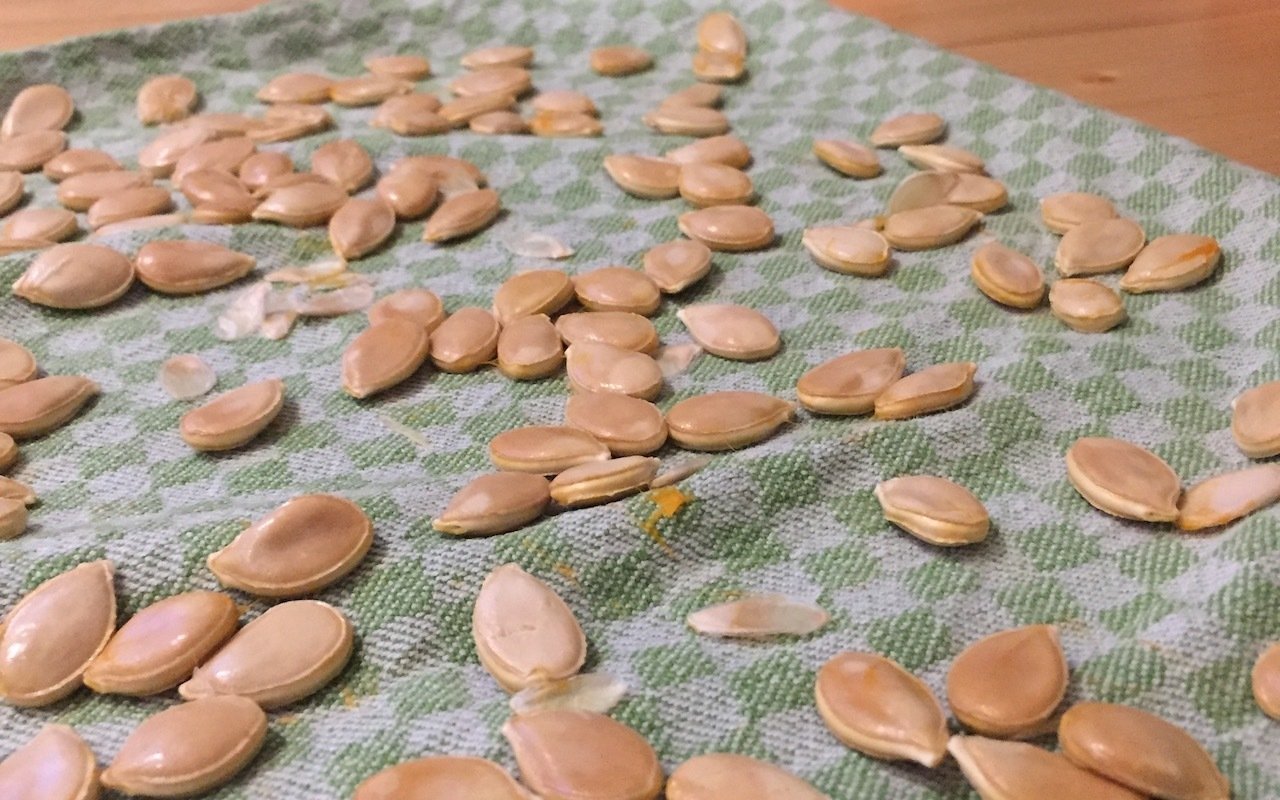 bilder aus kuerbiskernen mit kindern basteln, kürbiskerne rösten - einfach und lecker - utopia.de, Design ideen