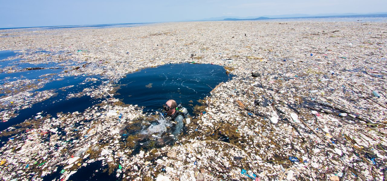 Plastik Plastikmüll Meer Karibik