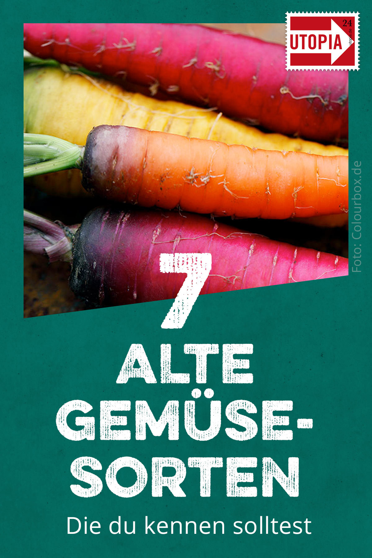 Alte Gemüsesorten Kennst du diese 7 seltenen Gemüse? Utopia.de