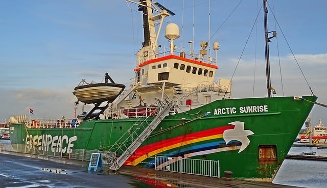 Auch bei Greenpeace engagieren sich viele Ehrenamtliche