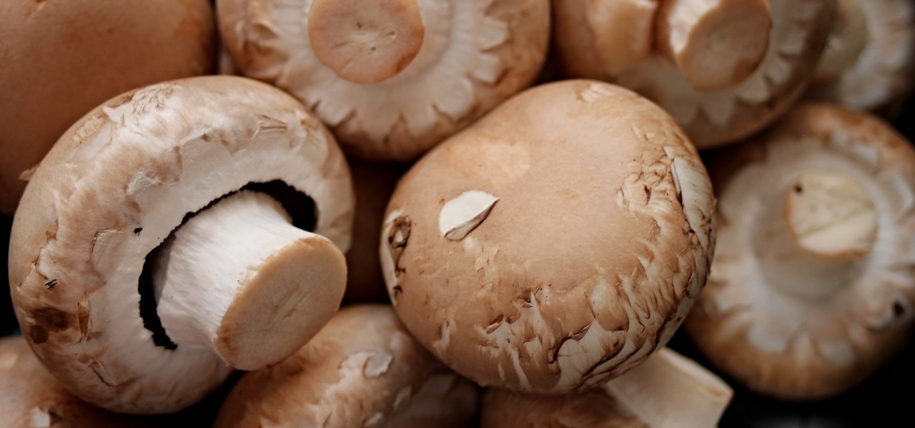 Champignons Roh Essen Was Du Beachten Solltest Utopia De