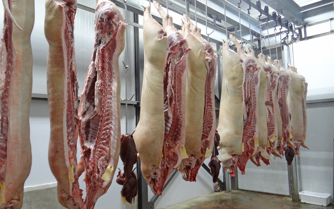 Schlachthöfe setzen Tierärzte unter Druck