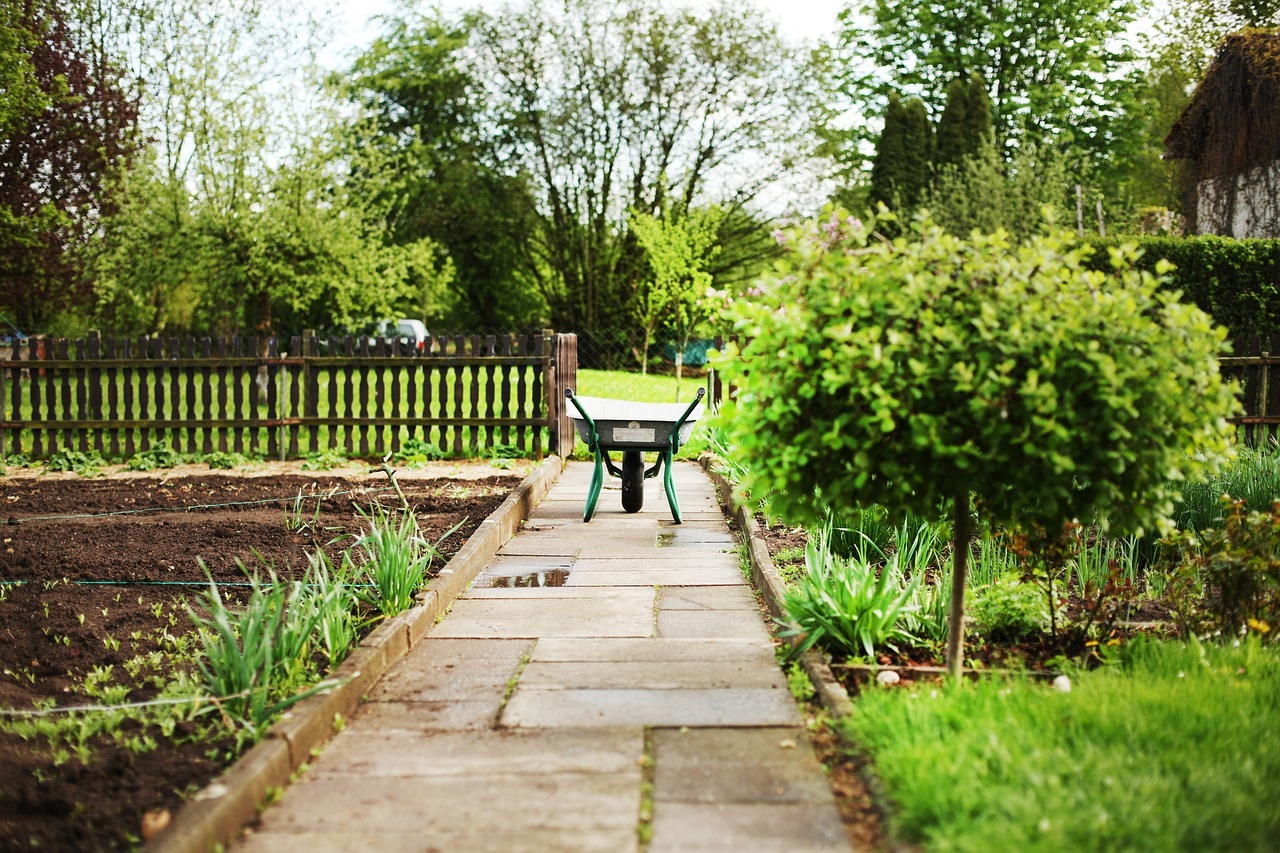 Garten mieten So pachtest du einen Schrebergarten Utopia.de