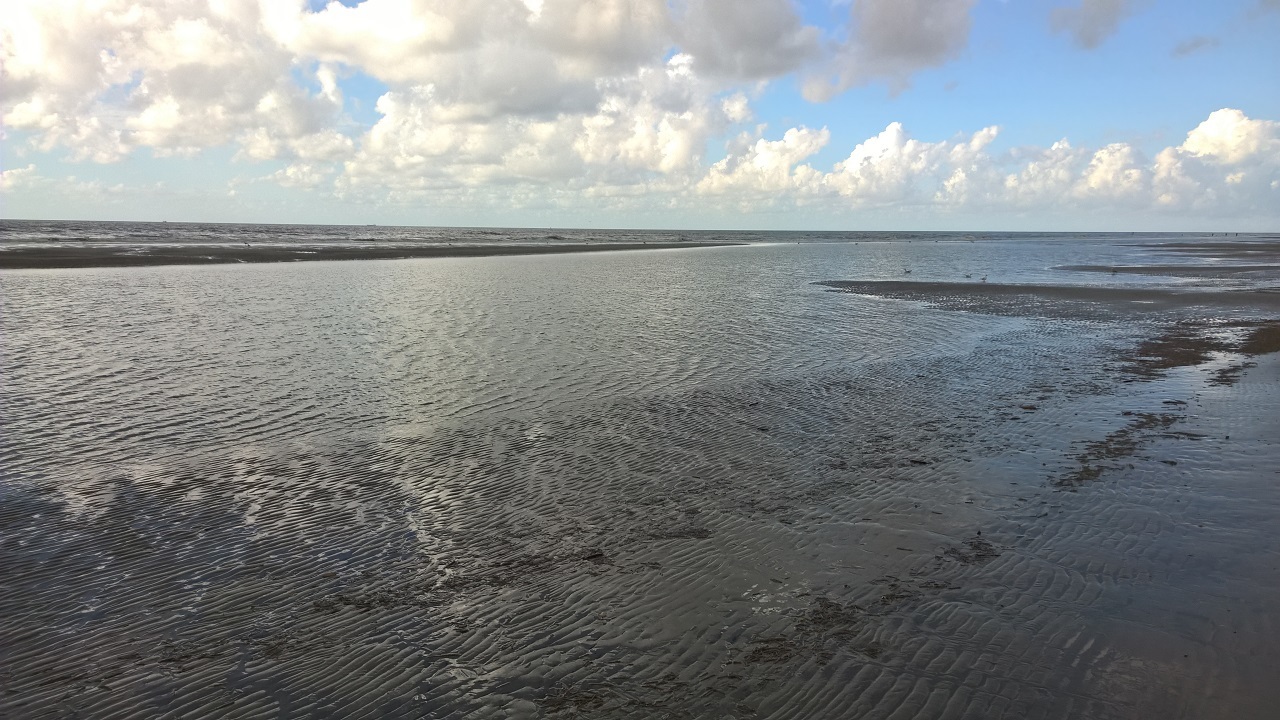 Nordsee in Dänemark: Raue Nord- und Ostseeküste