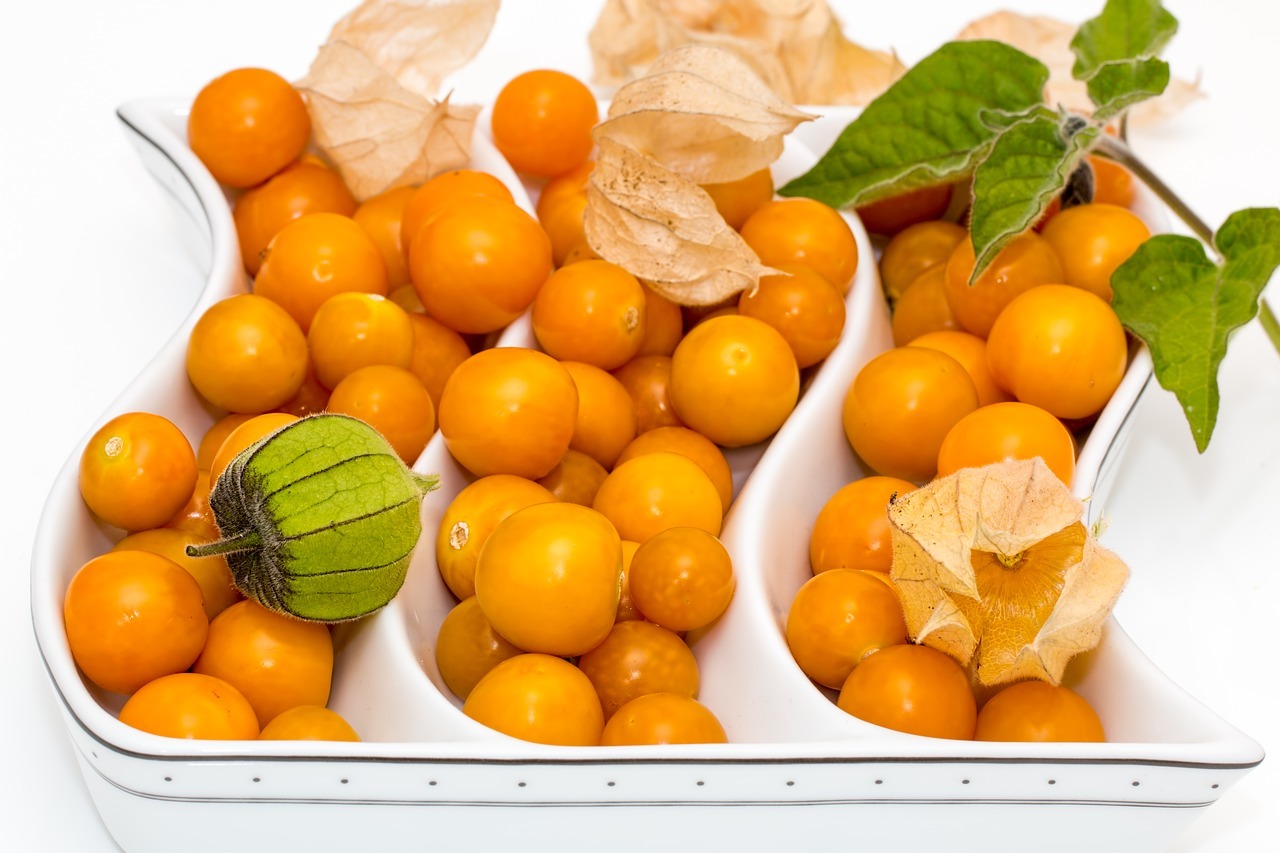 Physalis Wie gesund ist die Andenbeere? Utopia.de