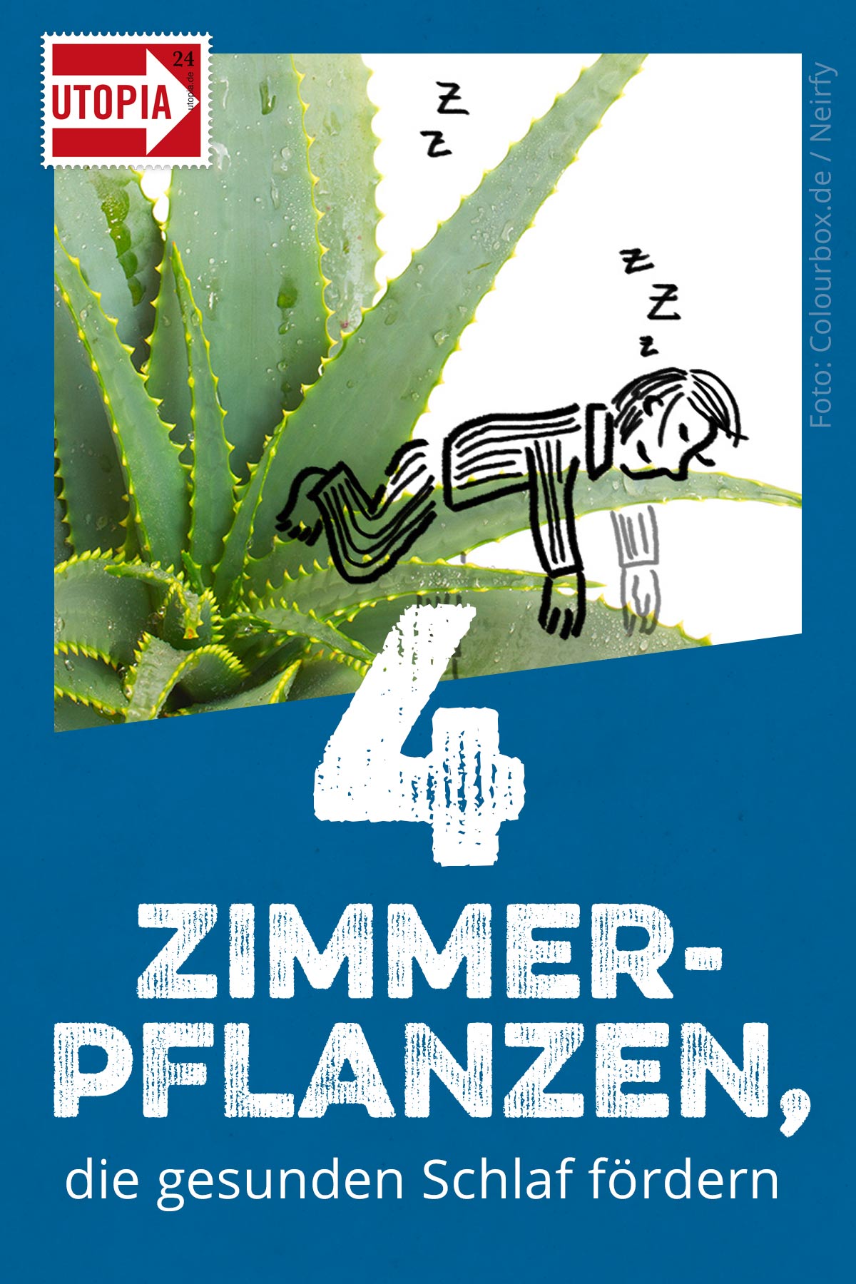 Pflanzen im Schlafzimmer So hast du einen gesunden Schlaf Utopia.de