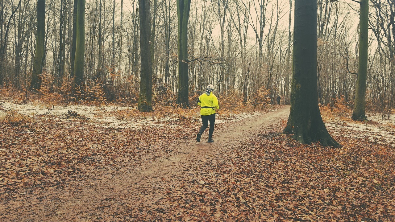 Auch im Winter wirkt ein Waldspaziergang wie Medizin für den Kreislauf.