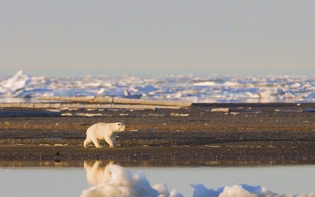 Klimaschutz Was Du Tun Kannst 15 Wichtige Tipps Gegen Klimawandel