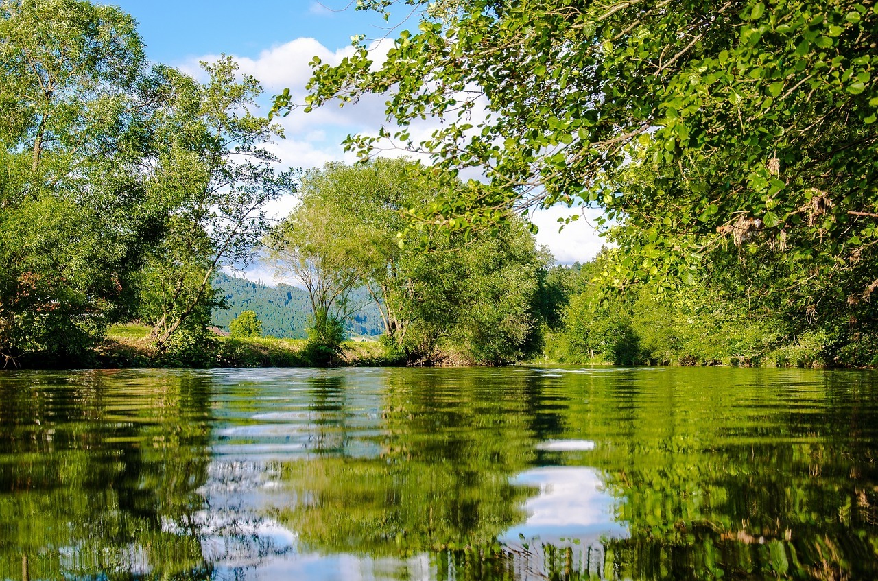 Tipps für eine Reise in den Schwarzwald