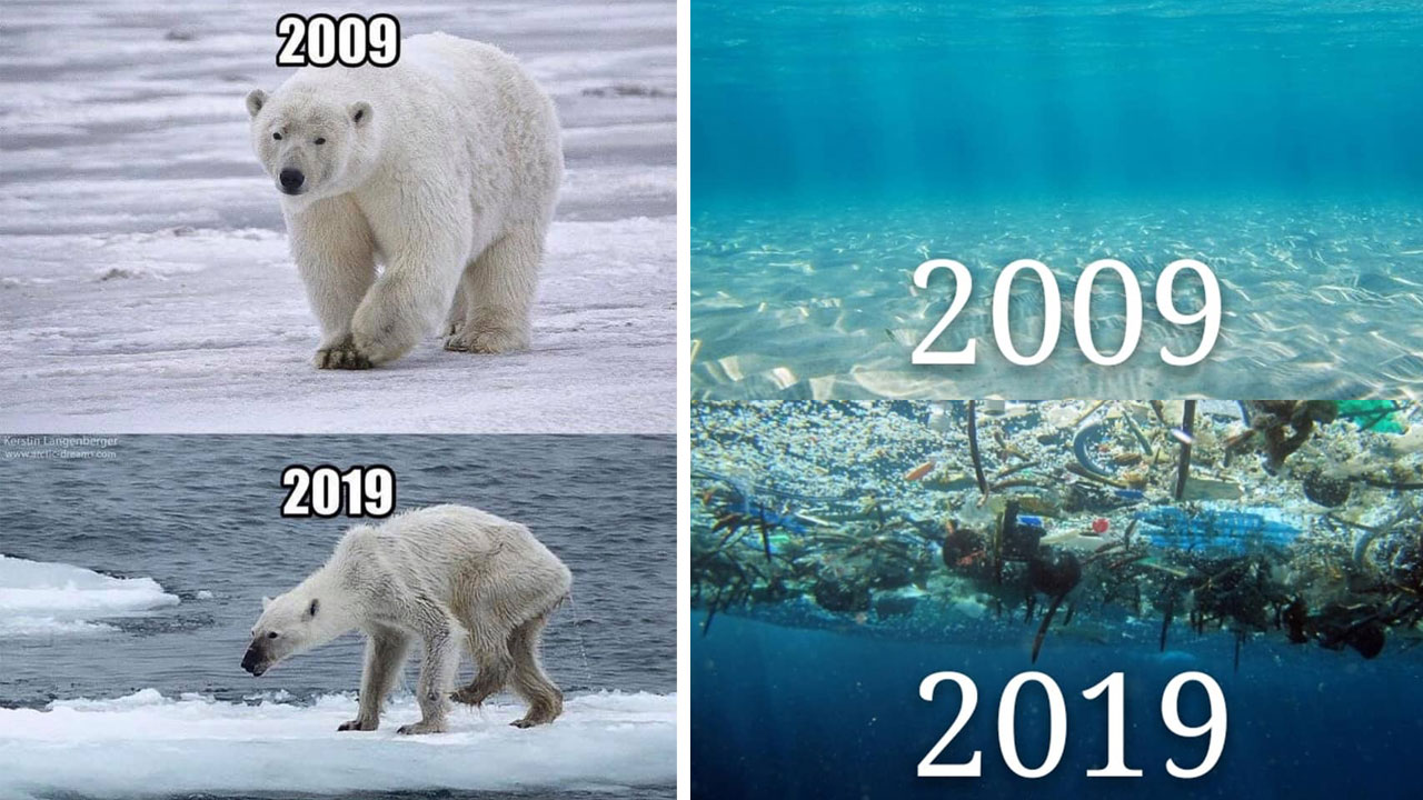 10 Years Challenge Darüber sollten wir eigentlich reden 