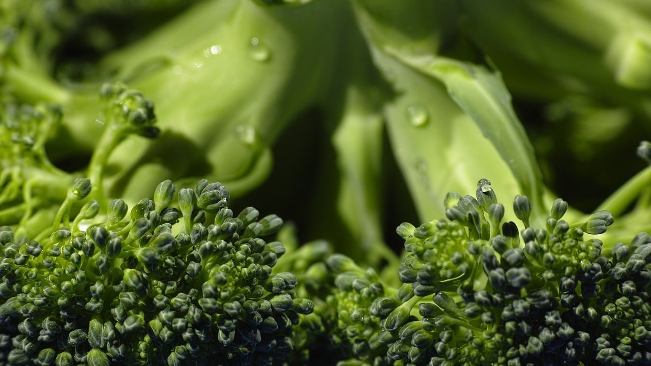 Brokkoli-ist-gesund-dank-dieser-N-hrwerte