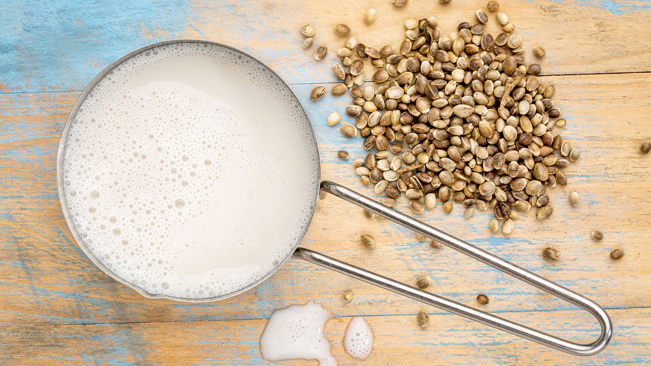 Hanfmilch & Hanfdrink: Wie gesund ist der Milchersatz?