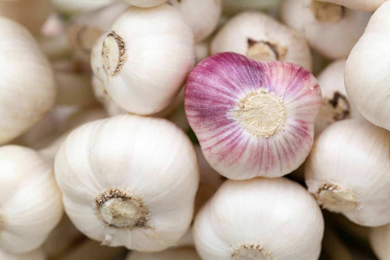 Knoblauch Shampoo Gegen Haarausfall Was Steckt Dahinter Utopia De