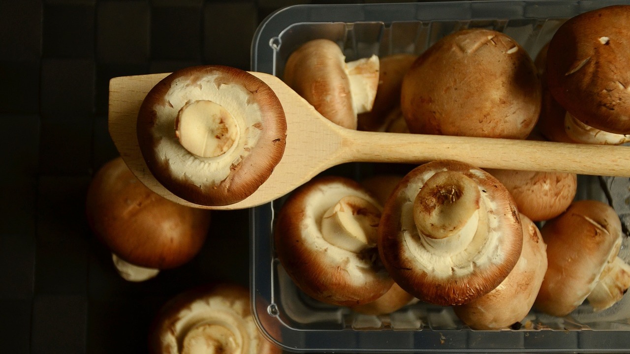 Champignons Zubereiten Das Solltest Du Beachten Utopia De