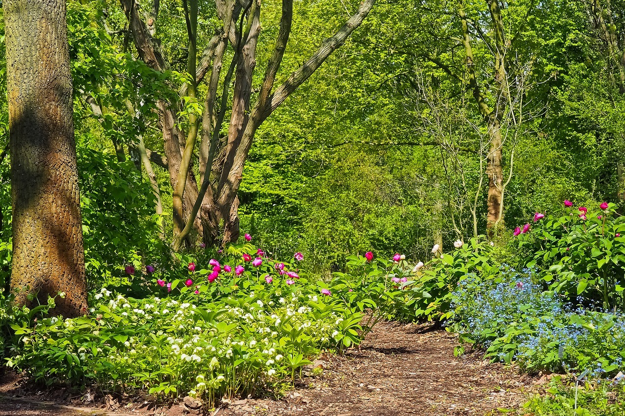 Vogelfreundlicher Garten Das kannst du zum Erhalt der