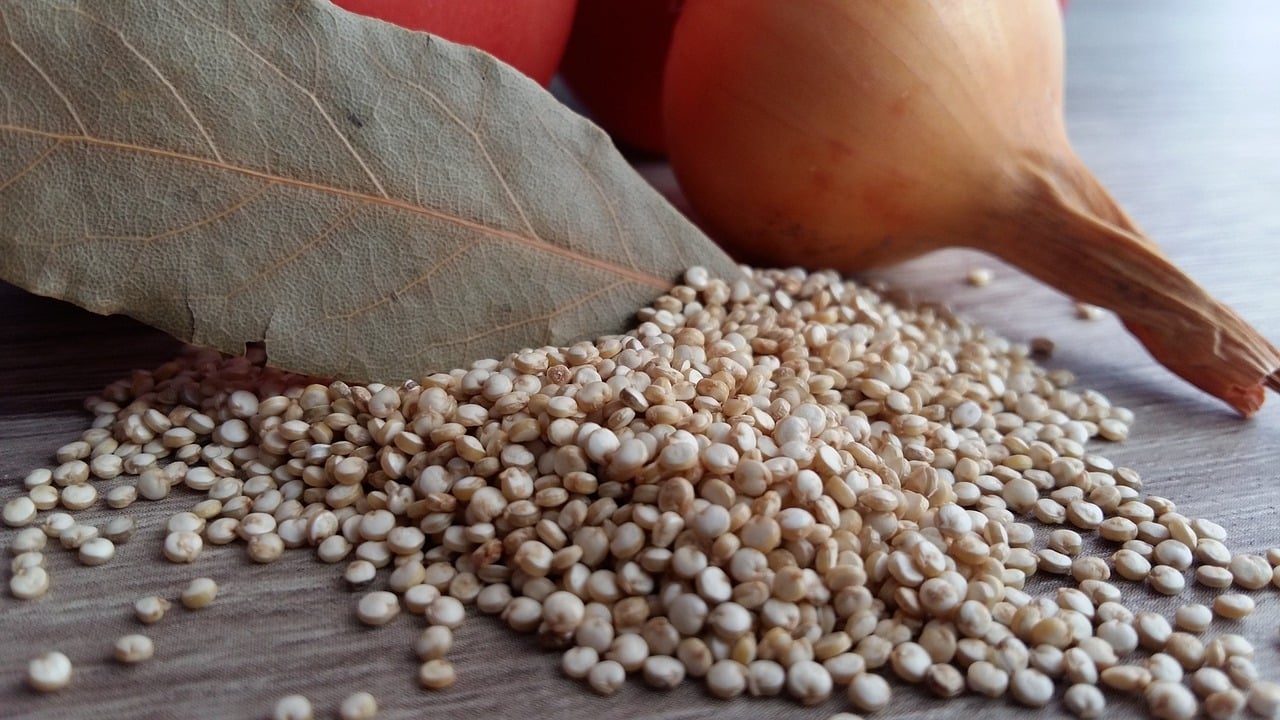 Quinoa Kochen So Bereitest Du Das Inka Getreide Zu Utopia De