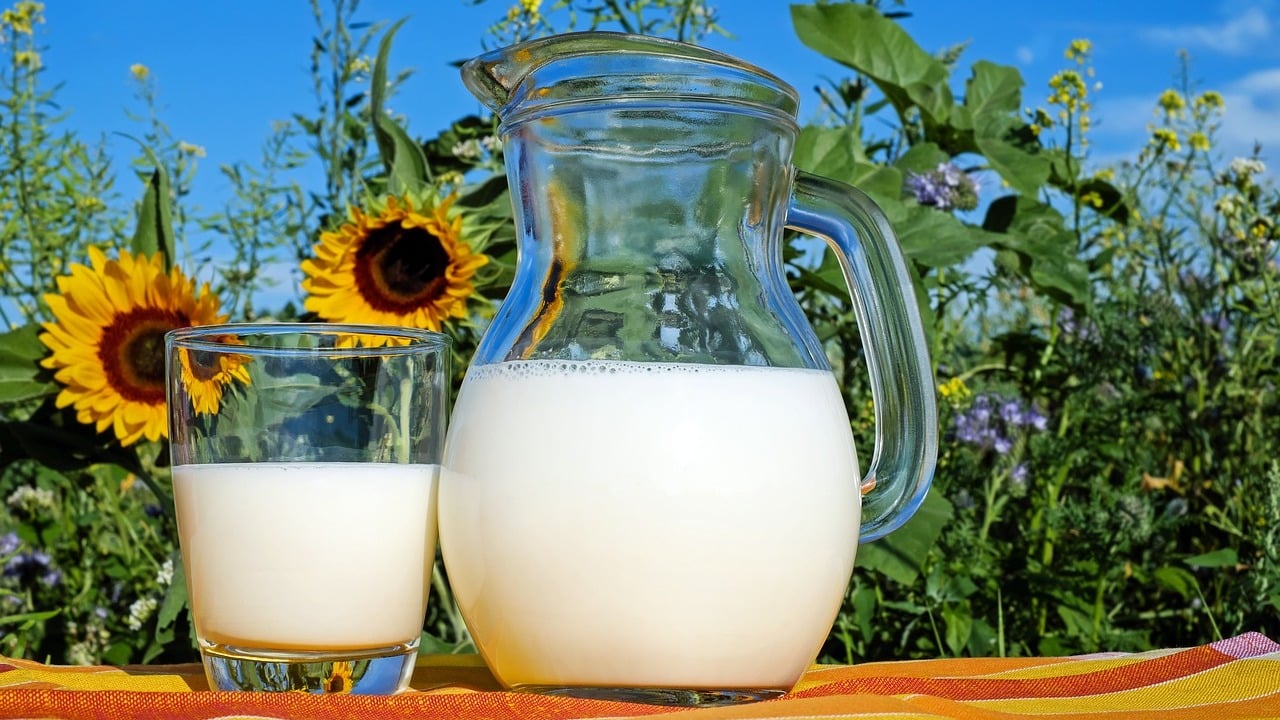 Rohmilch Abkochen Wie Lange Und Andere Wichtige Hinweise Utopia De