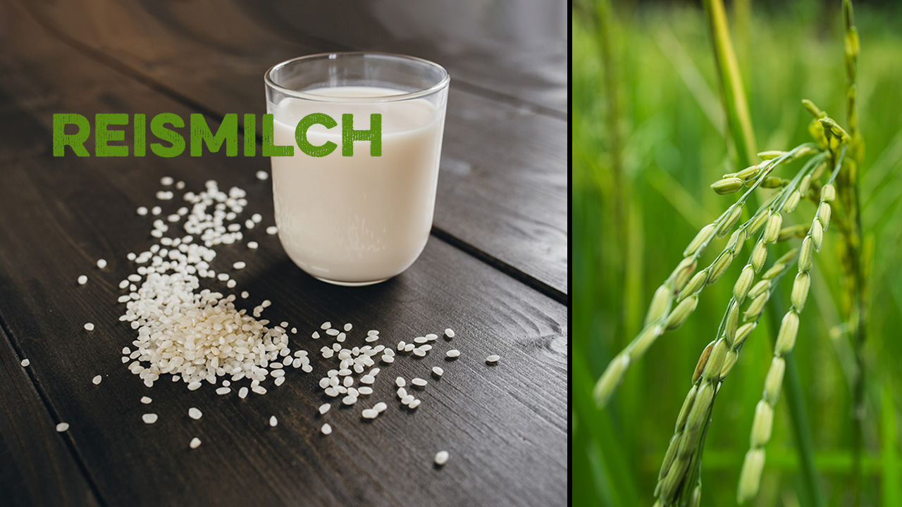 Reismilch: Was kann die Milchalternative?