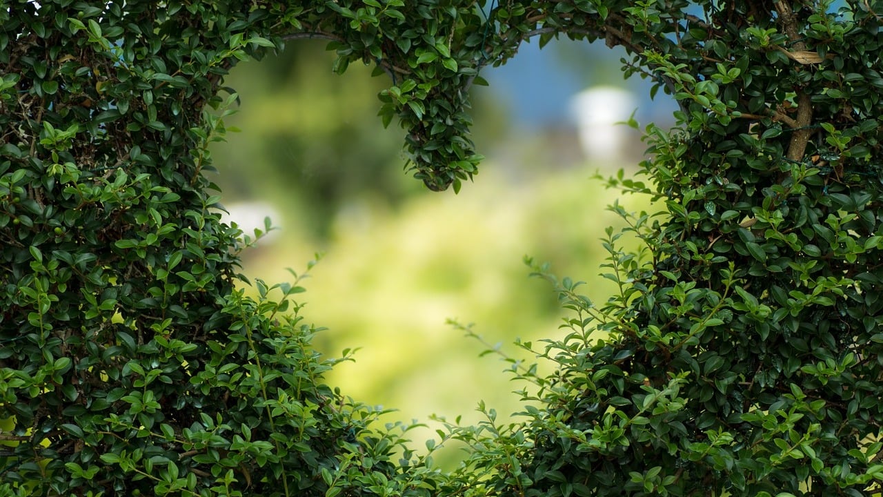 5 Sprachen der Liebe: Kann man sie „lernen“?