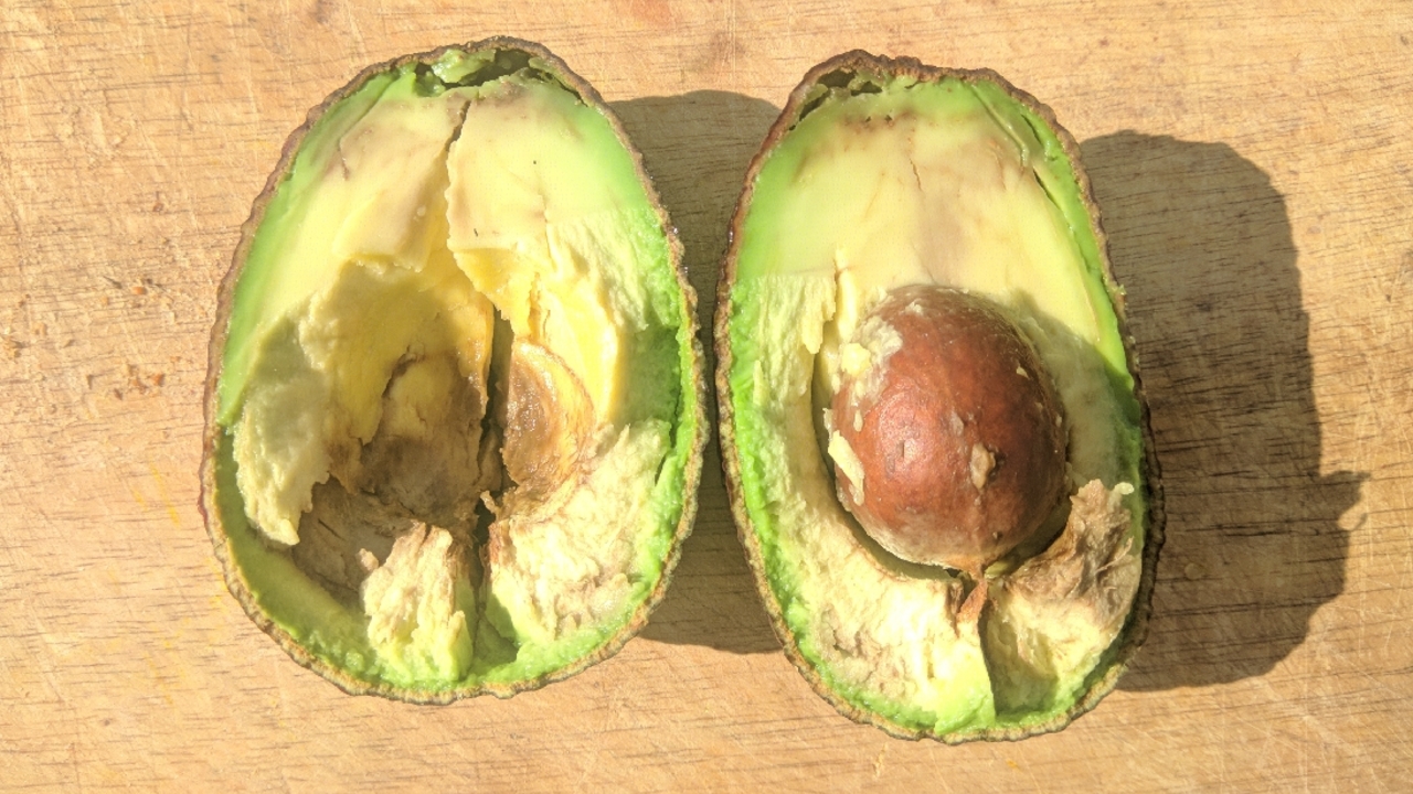Avocado grün oder braun