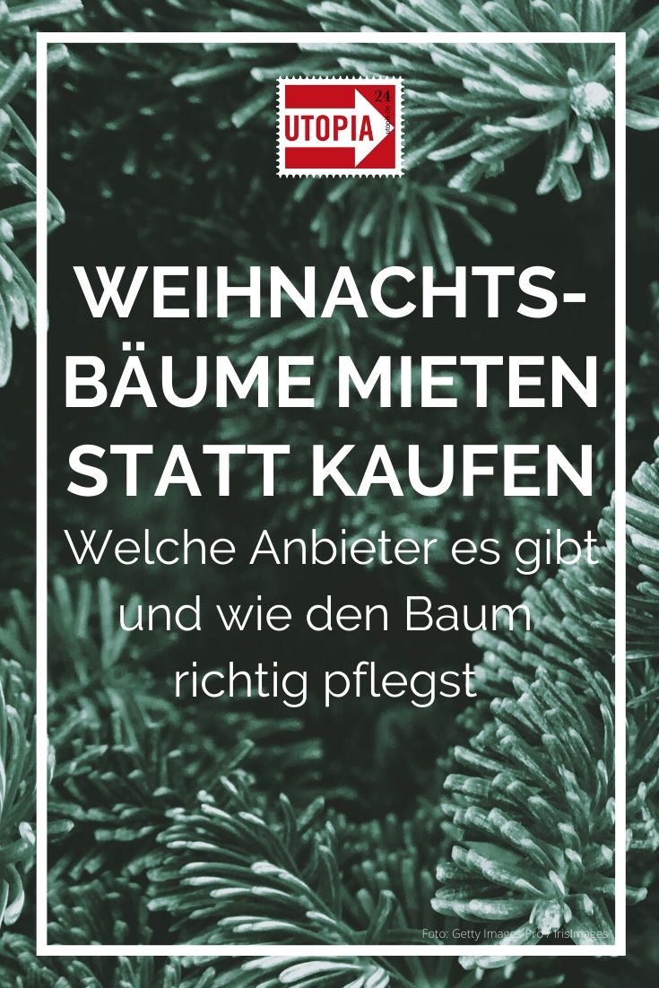 Weihnachtsbaum mieten Tipps zum MietTannenbaum Utopia.de