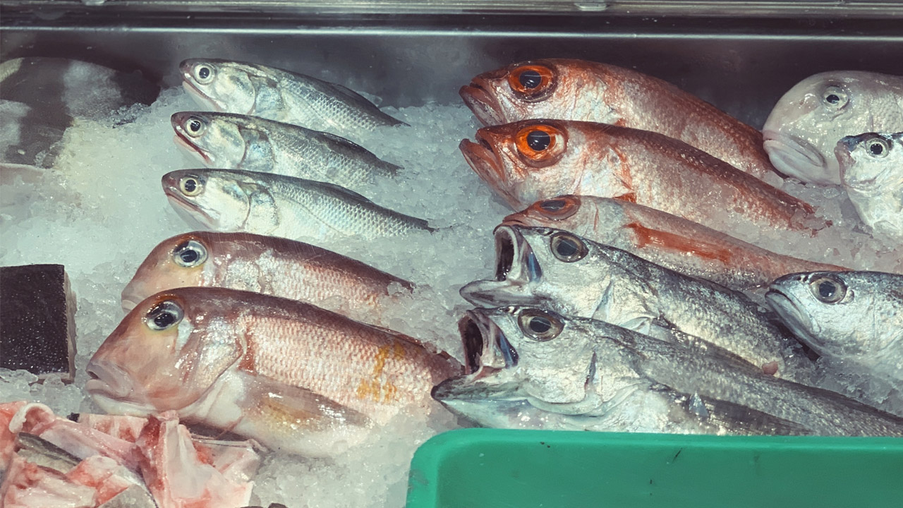 6 gute Gründe, auf Fisch zu verzichten 
