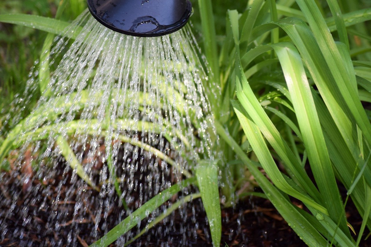 Nematoden Fadenwurmer Gegen Schadlinge Im Garten Utopia De