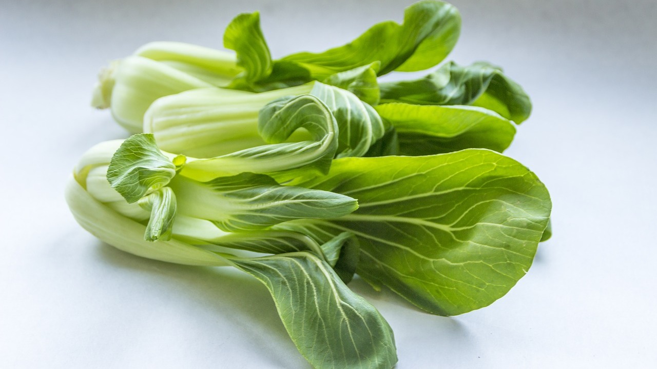 Pak Choi Zubereiten So Gelingt Dir Der Chinesische Blatterkohl Utopia De