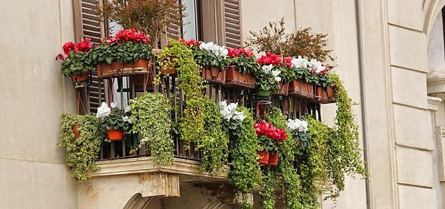Balkonkasten Bepflanzen 5 Wichtige Tipps Utopia De