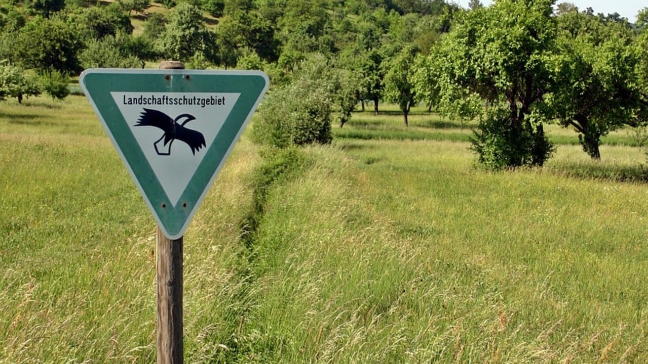 Landschaftsschutzgebiet Das bedeutet der Begriff Utopia.de