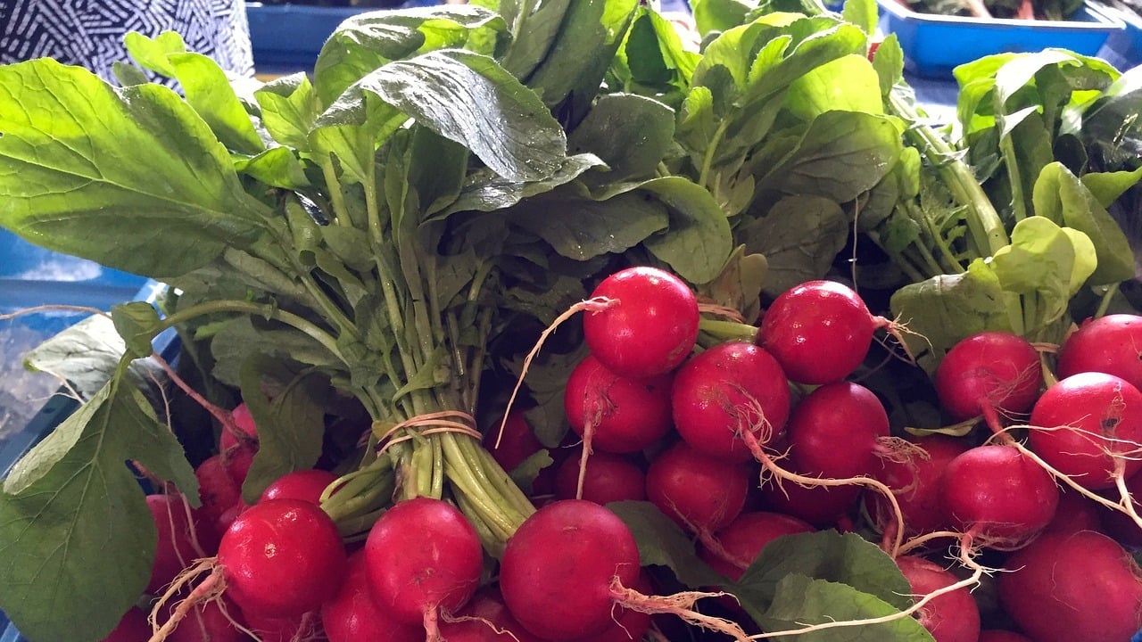 Pesto aus Radieschengrün: Verwerten statt wegwerfen