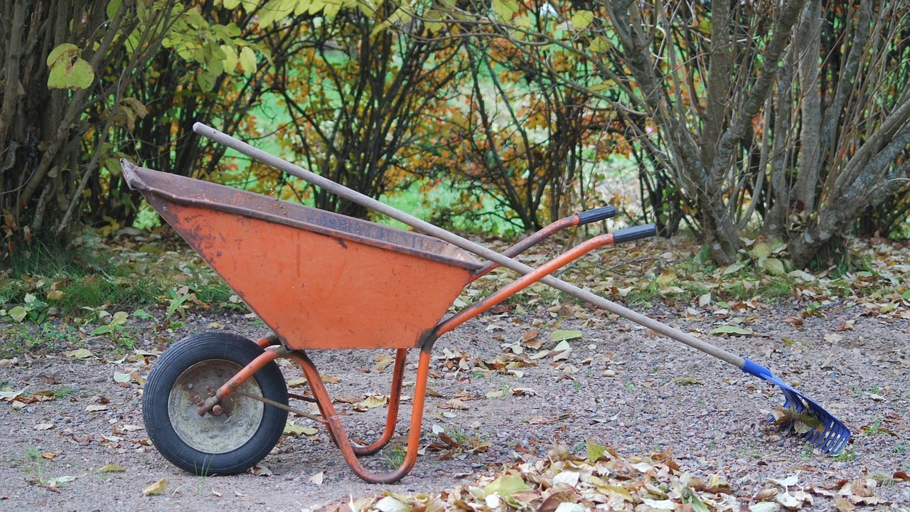Gartenarbeit im Oktober: Das ist jetzt zu tun