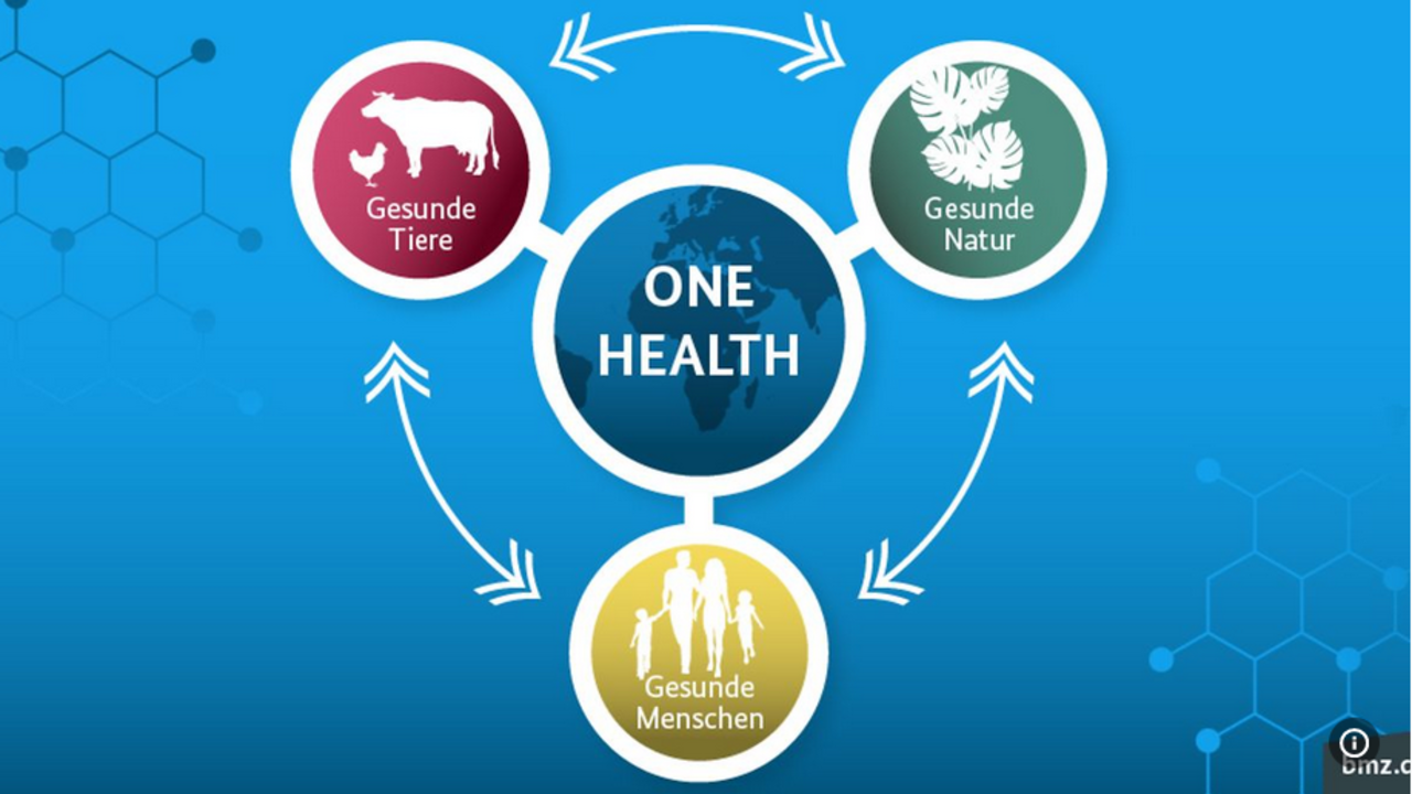 One Health: Das Gesundheitskonzept für eine nachhaltige Zukunft?