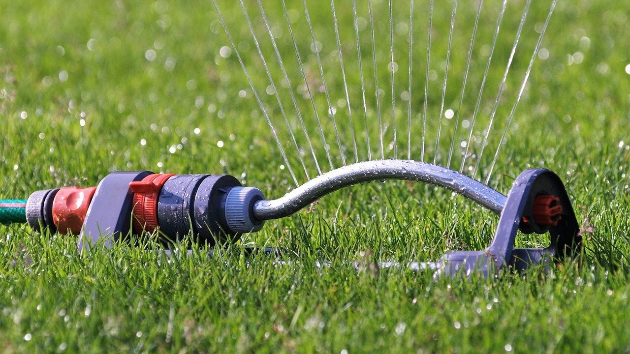 Bewässerung im Garten Das sind die besten Optionen Utopia.de