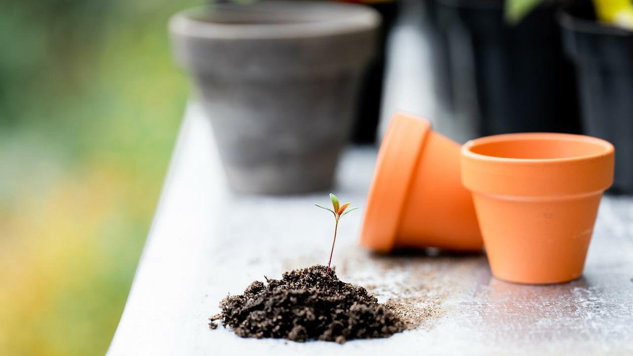 44+ Nachhaltig Gärtnern, Wir geben dir sechs tipps, wie du in deinem