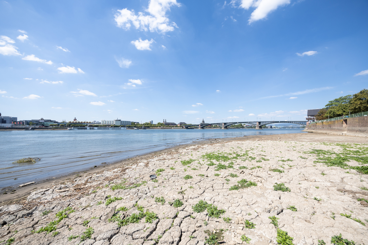 Dry Rhine: Pictures document the extent