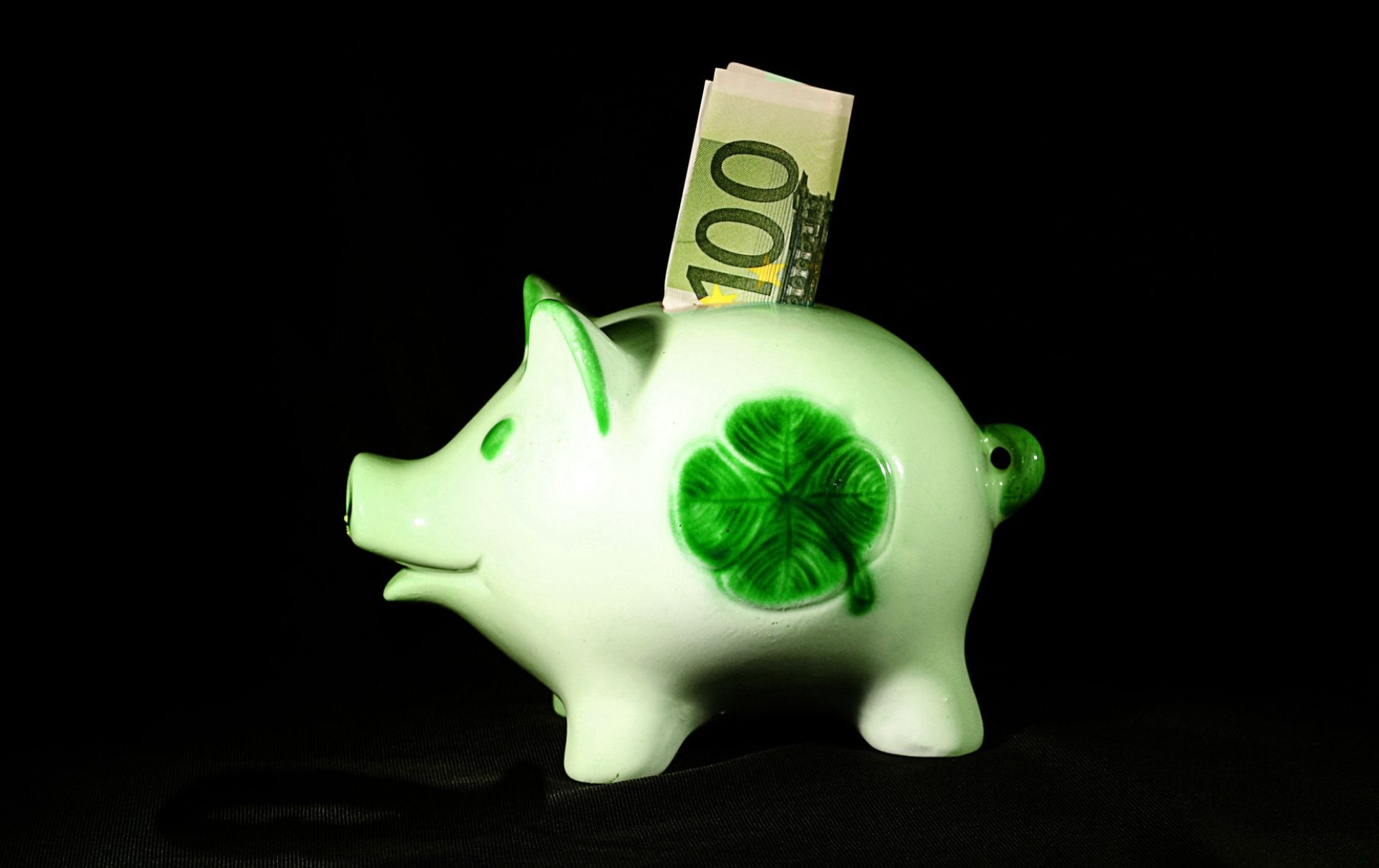 Nachhaltige Geldanlage: In 10 Schritten zum grünen Portfolio