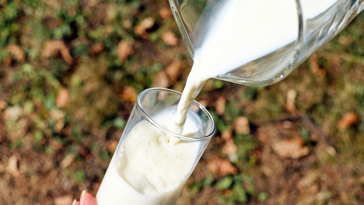 Rohmilch und Rohmilchkäse: Worauf du beim Verzehr achten solltest