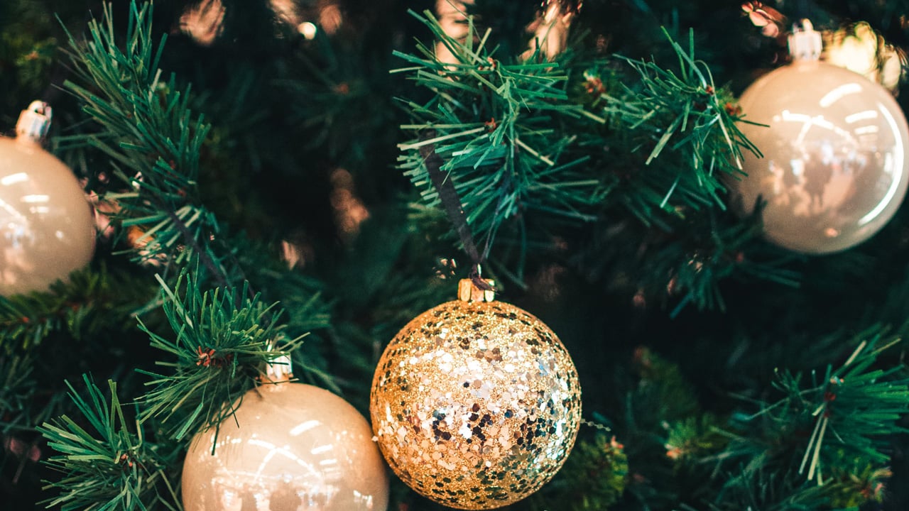 Weihnachtsbaum kaufen Echter Baum oder Plastiktanne was ist