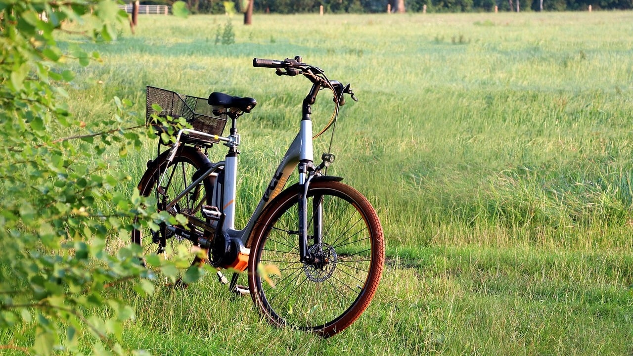 G-nstige-Alternative-zu-Testsiegern-Hier-bekommst-du-hochqualitative-E-Bikes-zum-kleinen-Preis