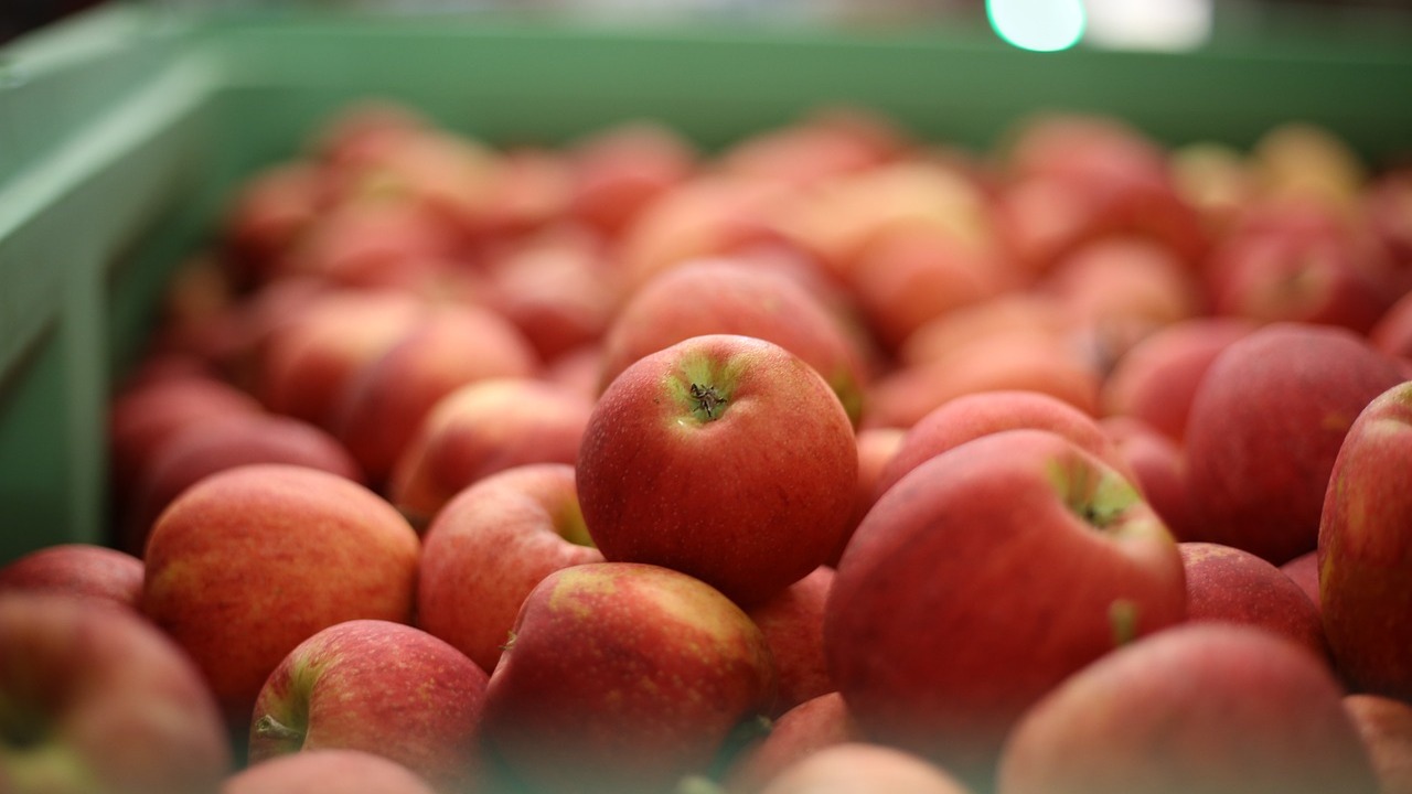 Wachsige Schicht auf dem Apfel: So bekommst du sie weg